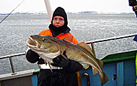 Helsingør Havfiskeri lystfiskere 